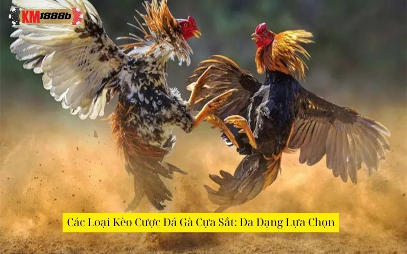 Các Loại Kèo Cược Đá Gà Cựa Sắt: Đa Dạng Lựa Chọn