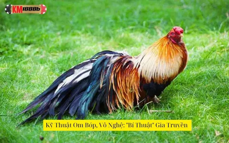 Kỹ Thuật Om Bóp, Vô Nghệ: "Bí Thuật" Gia Truyền 