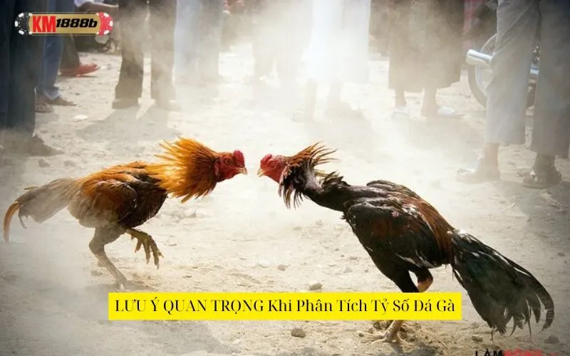 LƯU Ý QUAN TRỌNG Khi Phân Tích Tỷ Số Đá Gà
