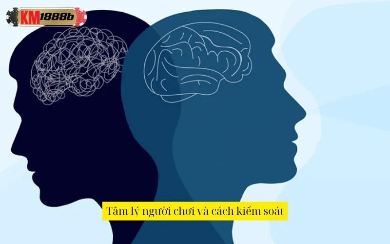 Tâm lý người chơi và cách kiểm soát