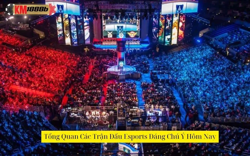 Tổng Quan Các Trận Đấu Esports Đáng Chú Ý Hôm Nay