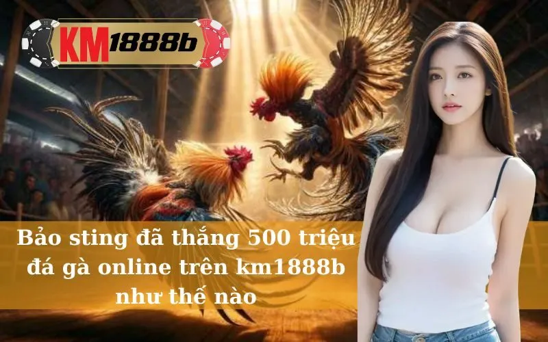 Bảo sting đã thắng 500 triệu đá gà online trên km1888b như thế nào