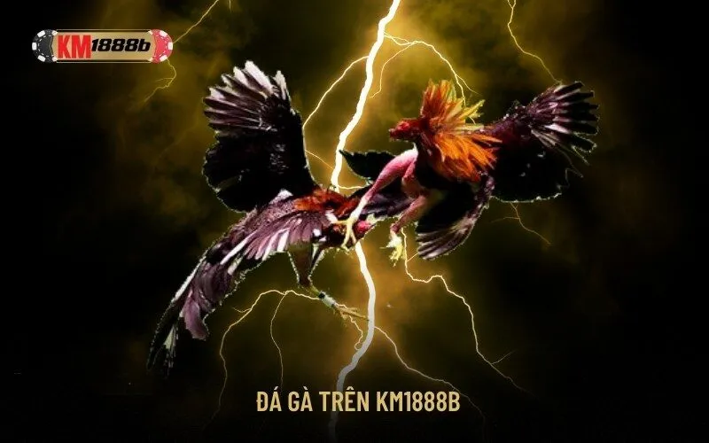 Đá Gà Trên Km1888b